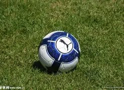 巴塞罗那赛,事宣布搁置,纳达尔蒂姆,PP电子,PP电子平台,PP电子官网,PP电子