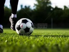 揭秘昨夜,关键战,猛龙与快船,PP电子,PP电子平台,PP电子官网,PP电子