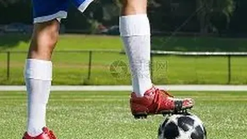 PP电子 产品 014541 vmx