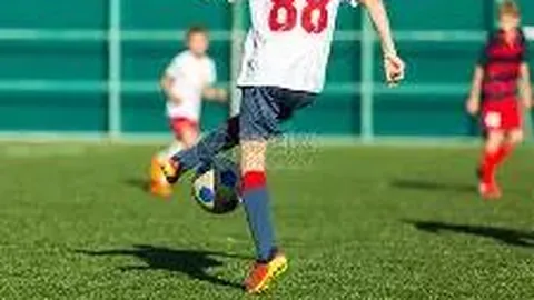 PP电子 产品 102450 88h