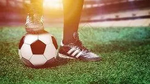 PP电子 产品 102548 ql1