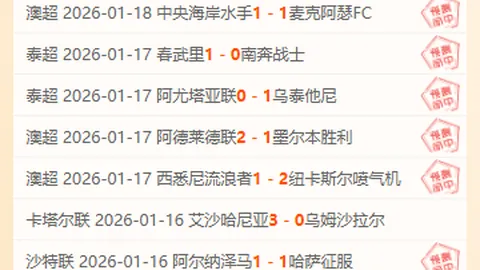 伯恩茅斯实力出众，众志成城共创辉煌